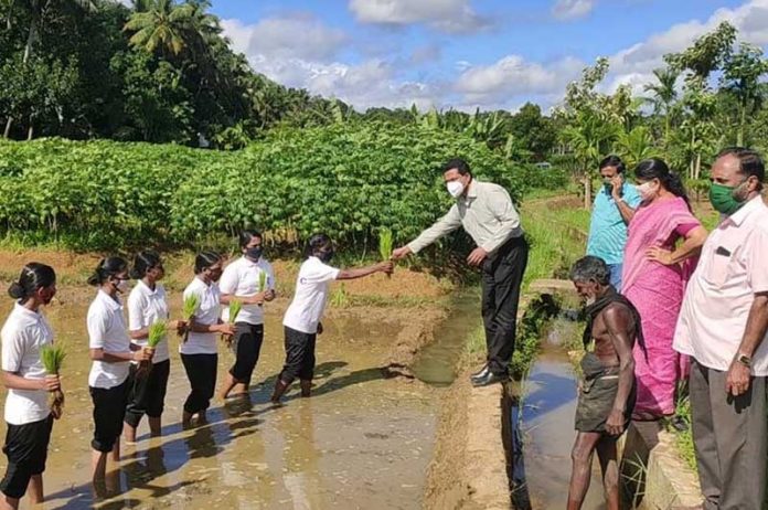 High-School-aiming-to-reap-hundreds